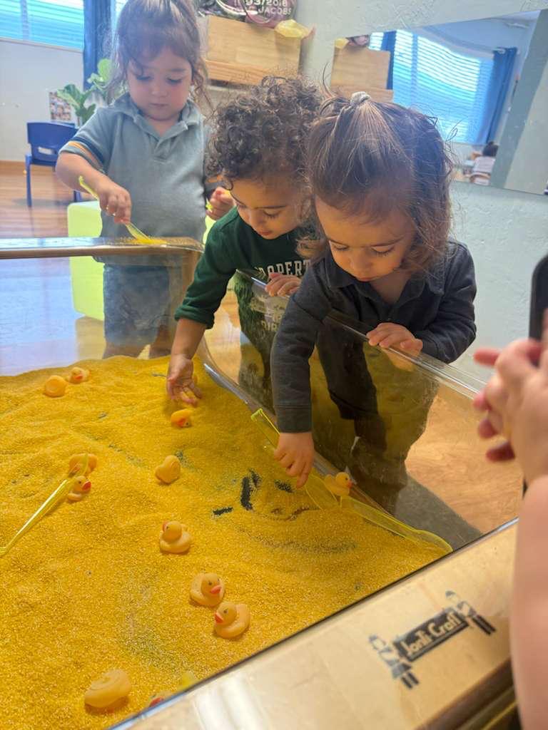 Preschool children playing and exploring